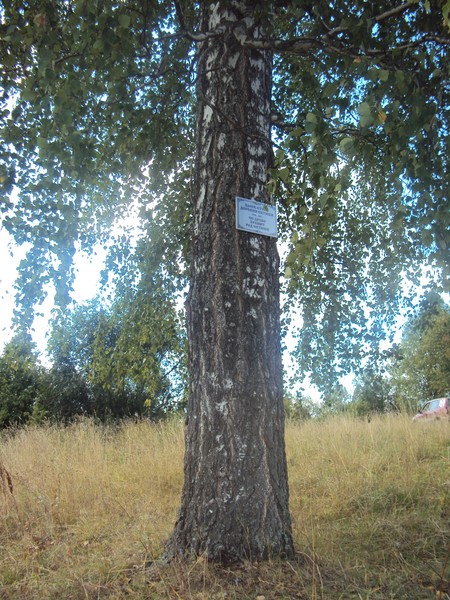 catyuki-bereza-2.jpg