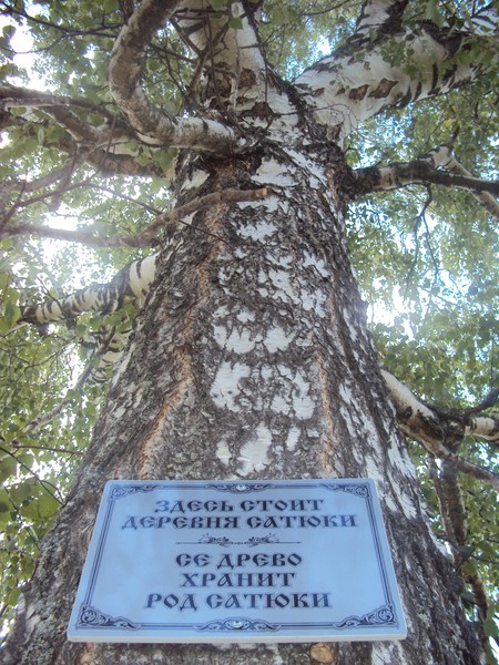 catyuki-bereza-4.jpg