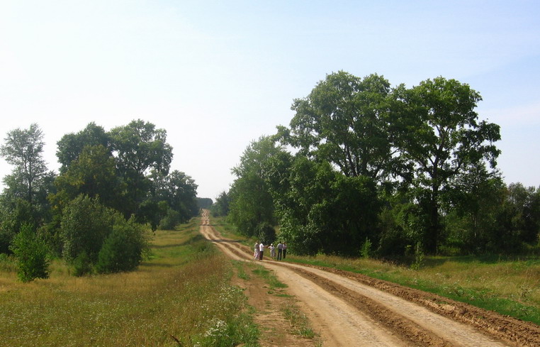 д. Барминцы 13.08.2011